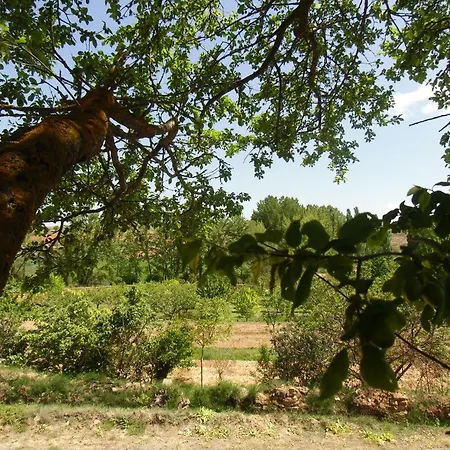 La Sierra Semesterbostad Seron de Najima